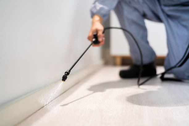 Bed Bug Pre-Treatment Preparation Assessment in Morgan