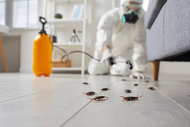 Post-Treatment Bed Bug Interceptor Monitoring in Morgan