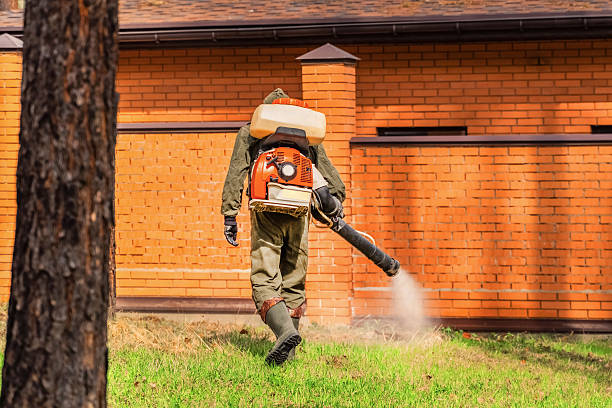 Bed Bug Clearance Verification and Documentation in Morgan
